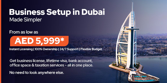 Business Setup Offer